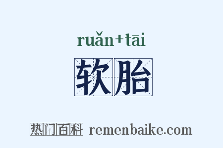 软胎是什么意思的图片